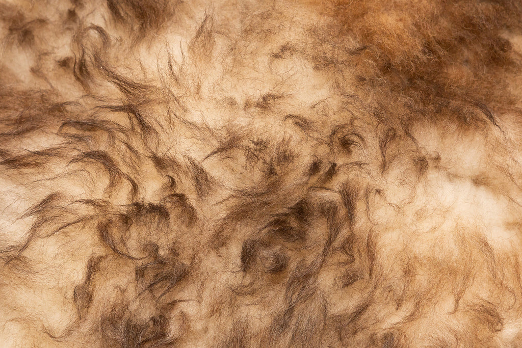 Why The Finest Animal Wool In The World Is Banned From Sale