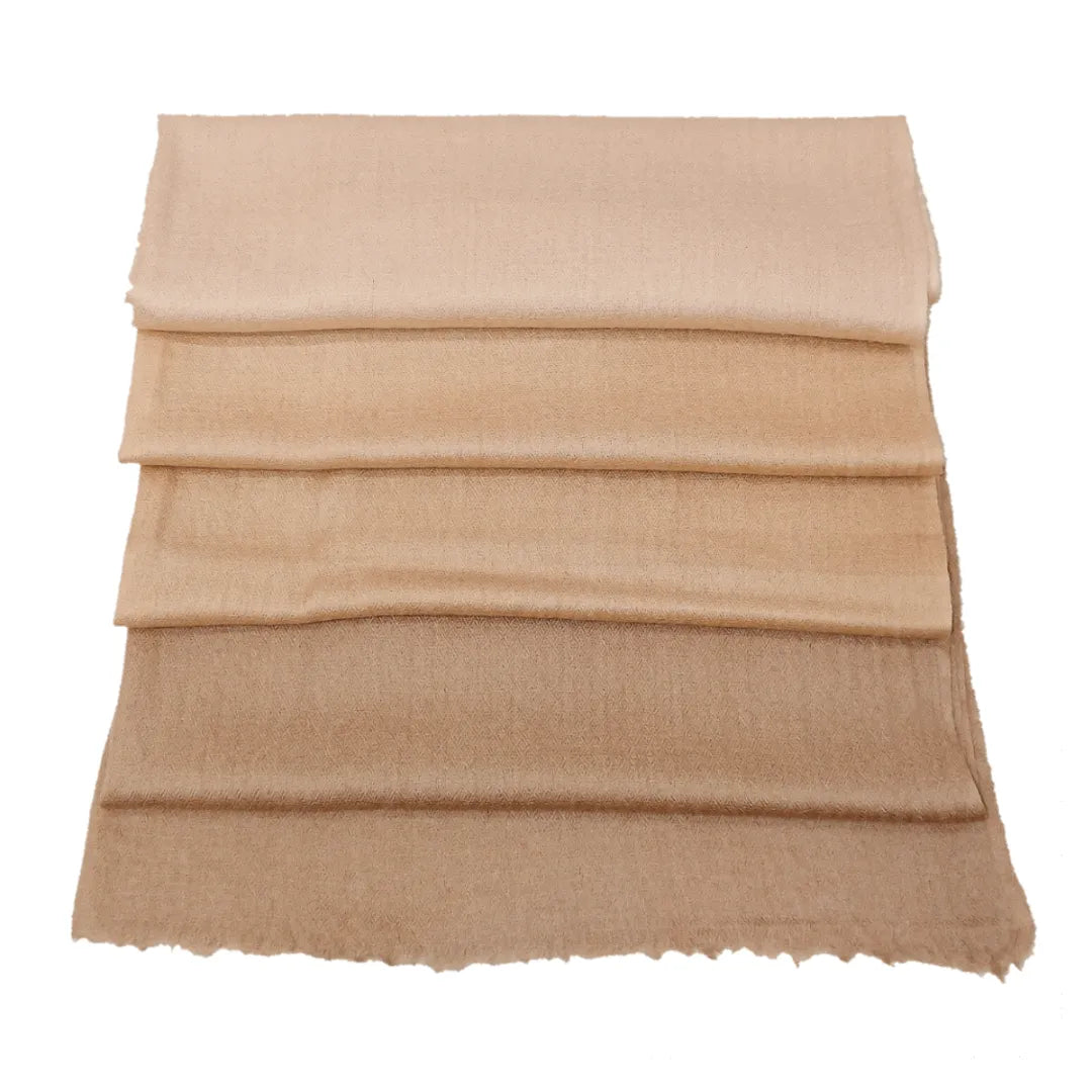 Large Shaded Pashmina Cashmere Stole - TCG London